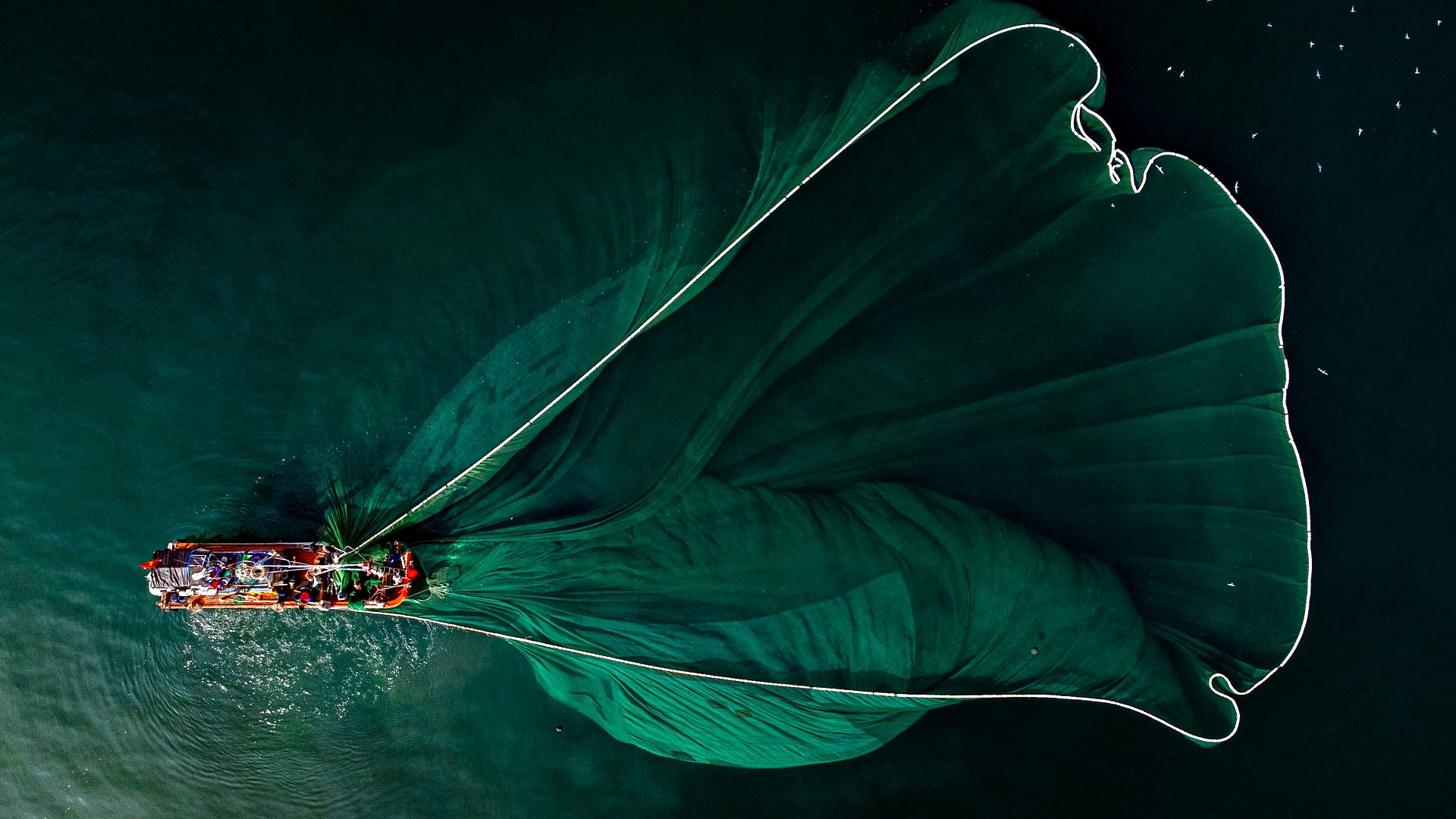 How to Shift the Seafood Industry from Extractive to Regenerative