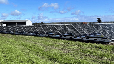 Innovation Watch: Smart Tech Cutting Agricultural Emissions